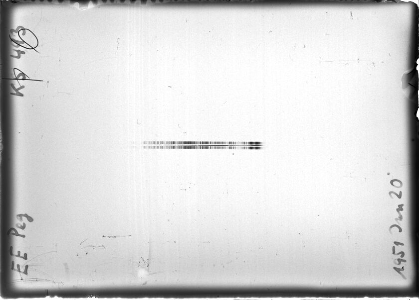 Scan STK0493