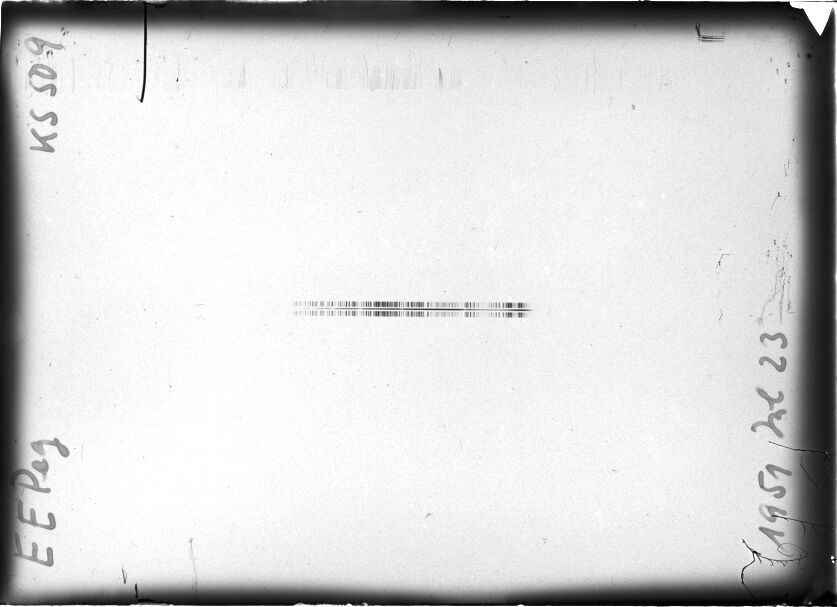 Scan STK0509