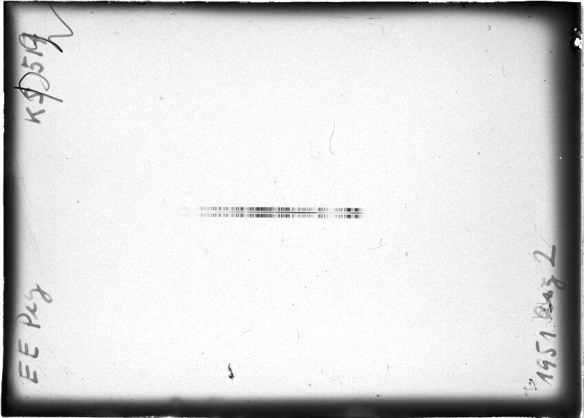 Scan STK0517