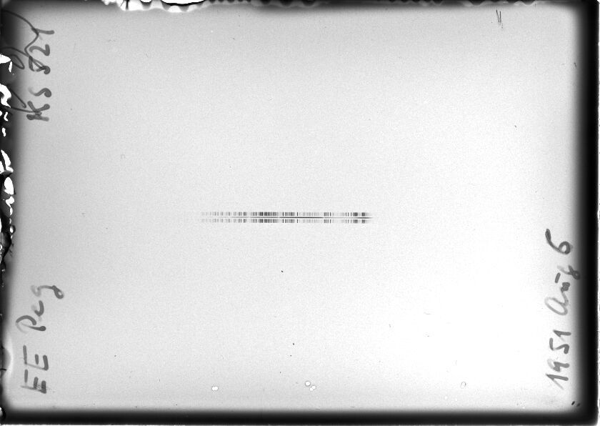 Scan STK0521