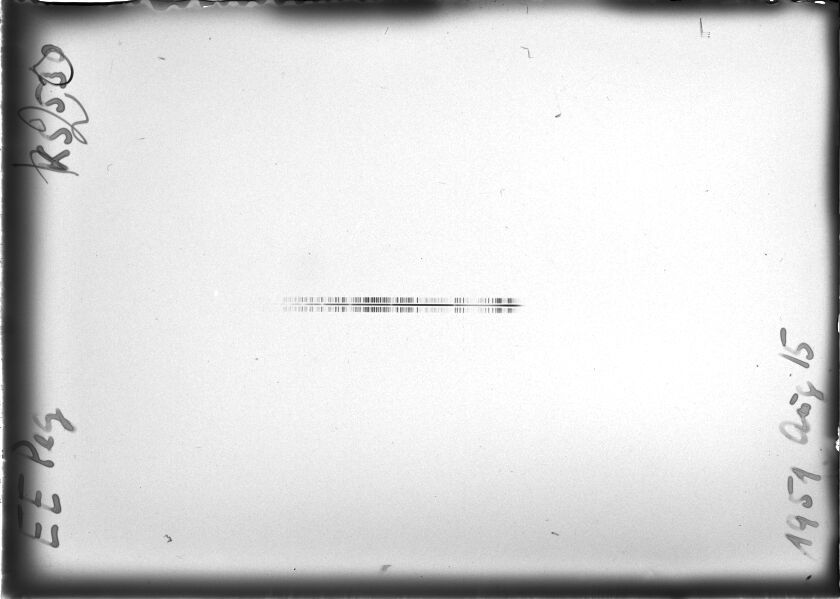 Scan STK0530