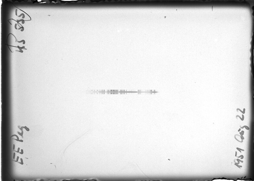 Scan STK0535