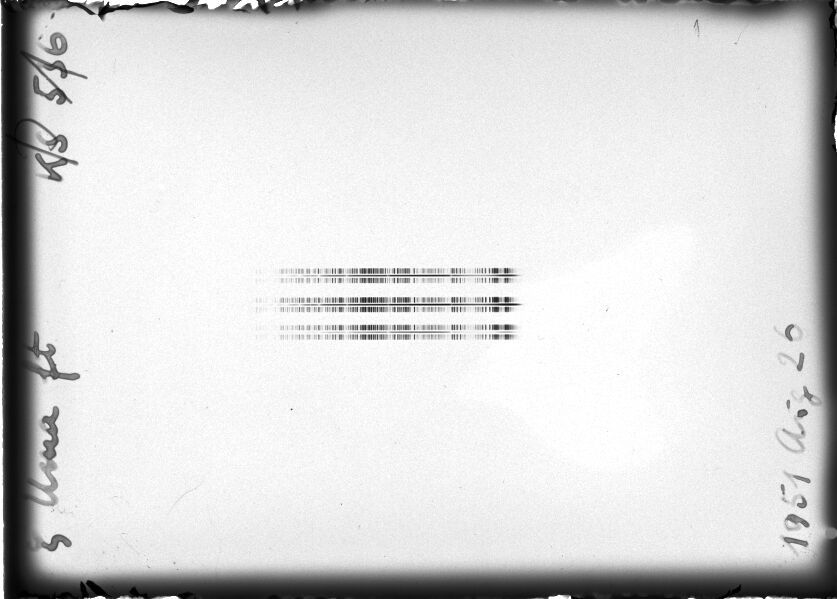 Scan STK0536