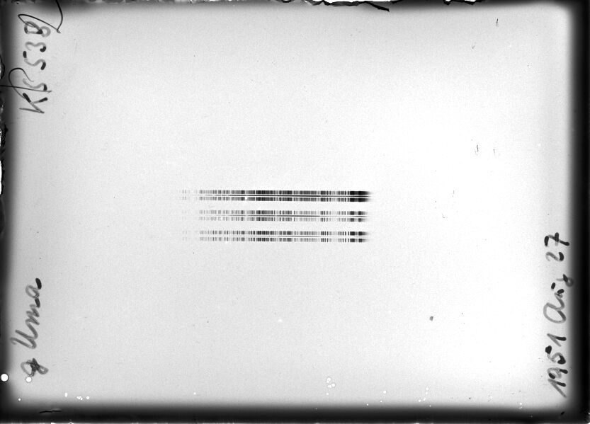 Scan STK0538