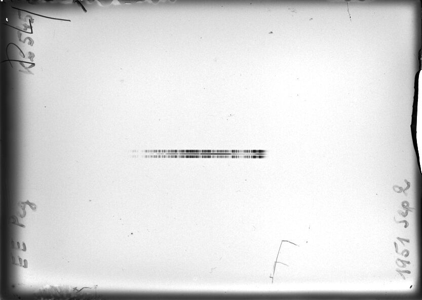 Scan STK0545