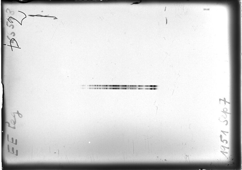Scan STK0548