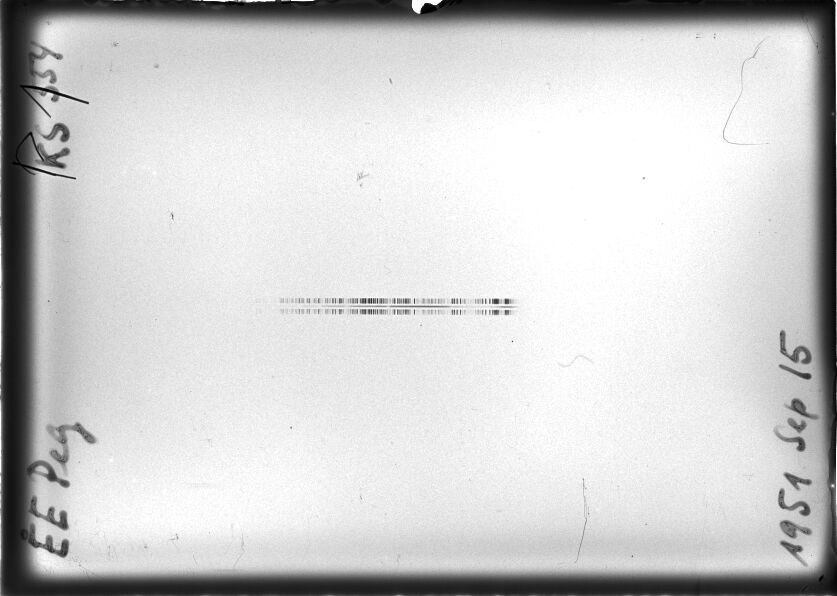 Scan STK0554