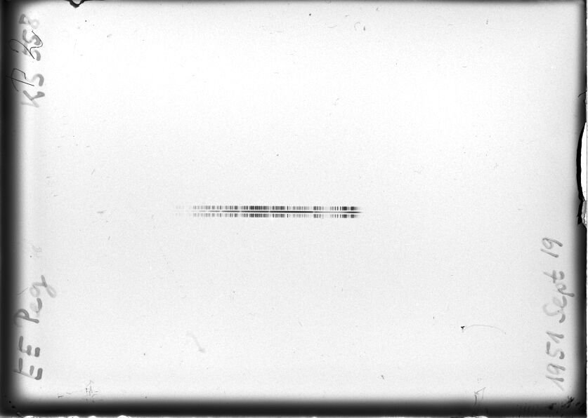 Scan STK0558