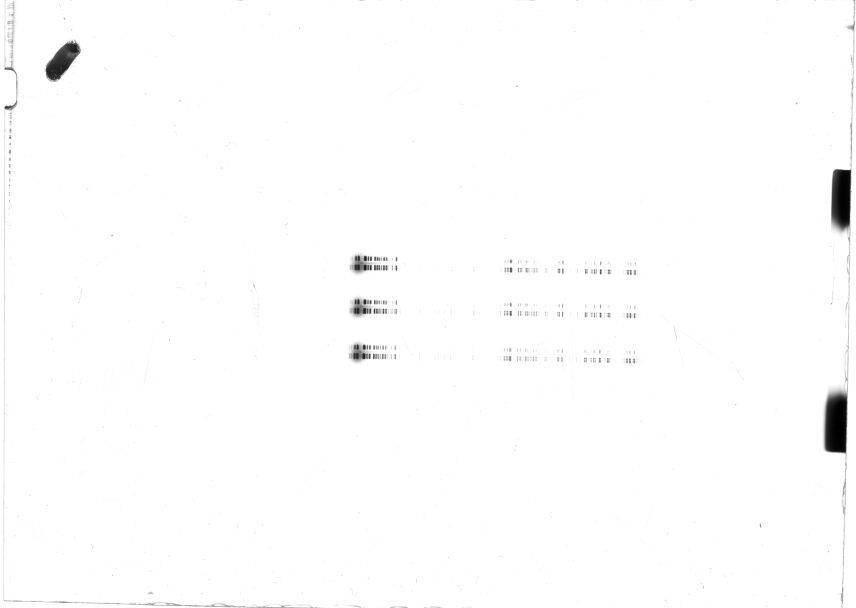 Scan STK0691