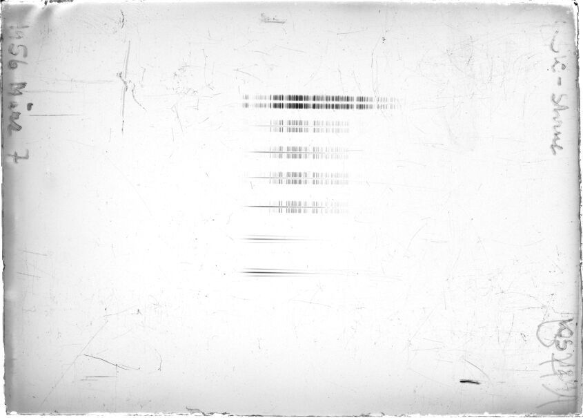 Scan STK1290