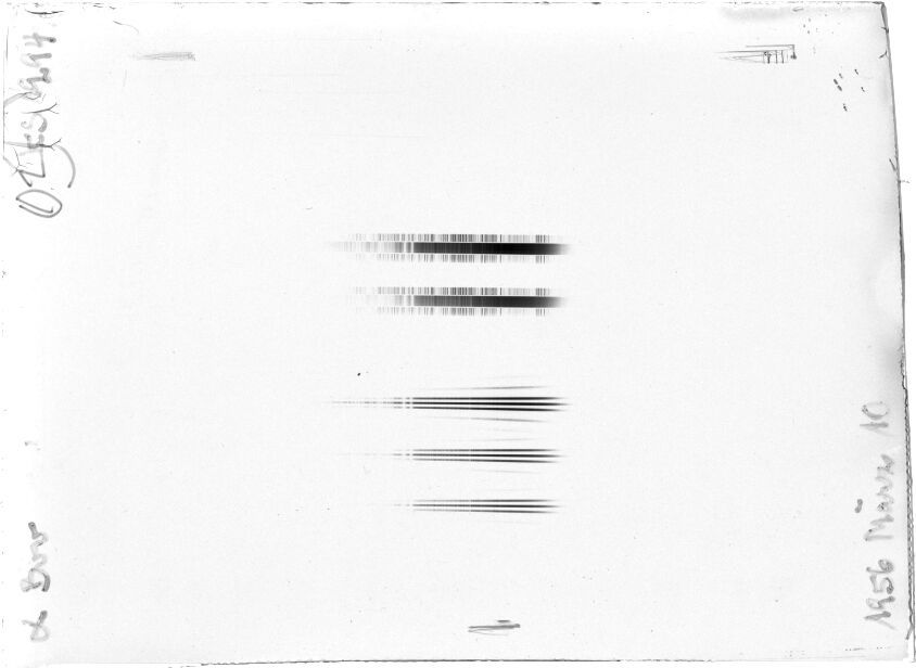 Scan STK1294