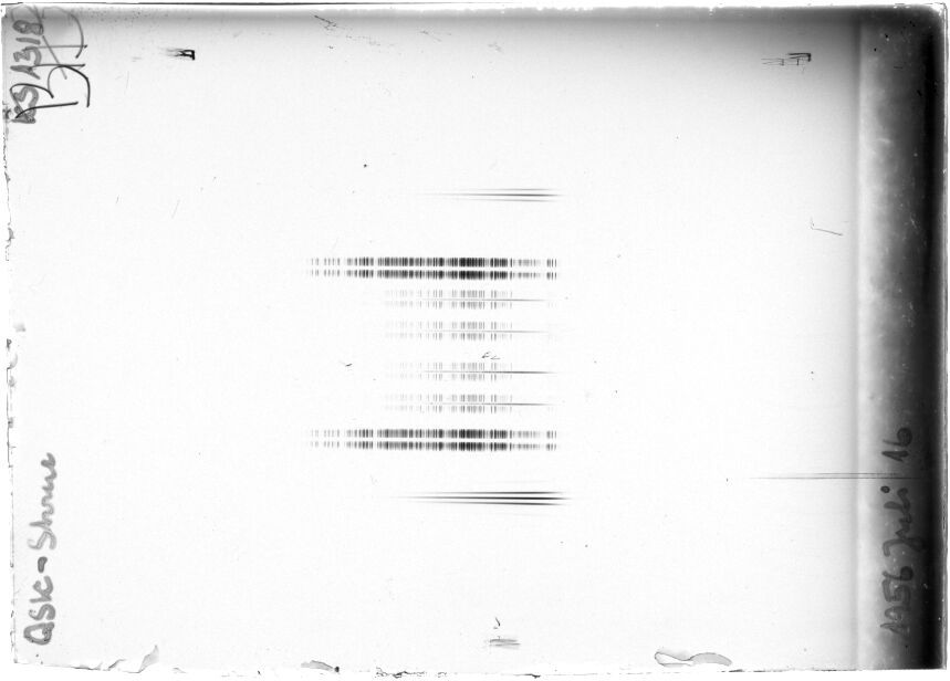 Scan STK1318
