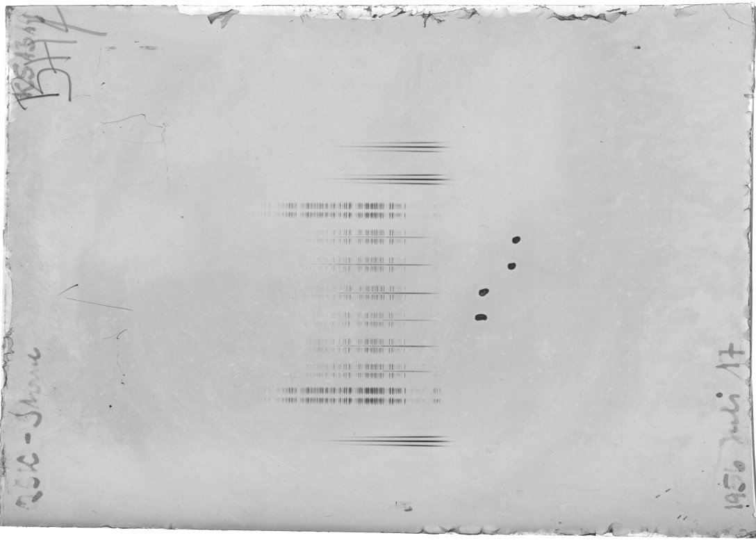 Scan STK1319