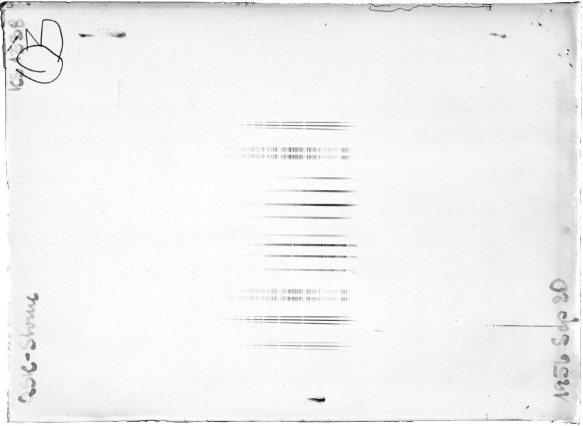 Scan STK1338