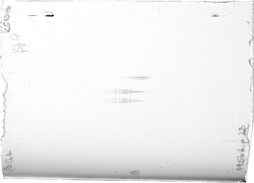 Scan STK1346