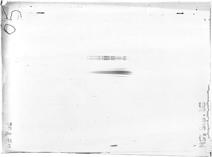 Scan STK1353