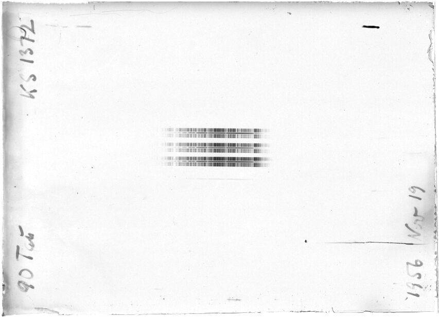 Scan STK1372