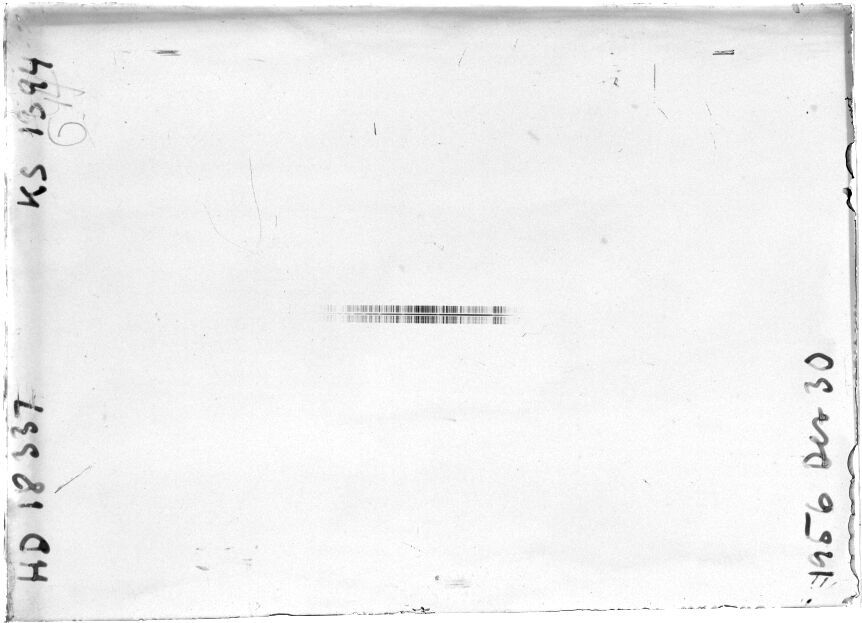 Scan STK1394