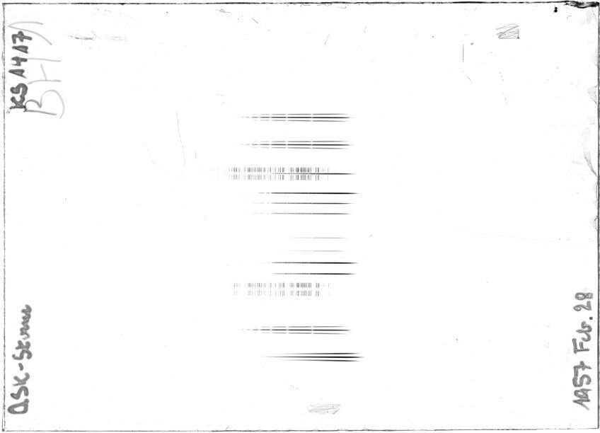 Scan STK1417
