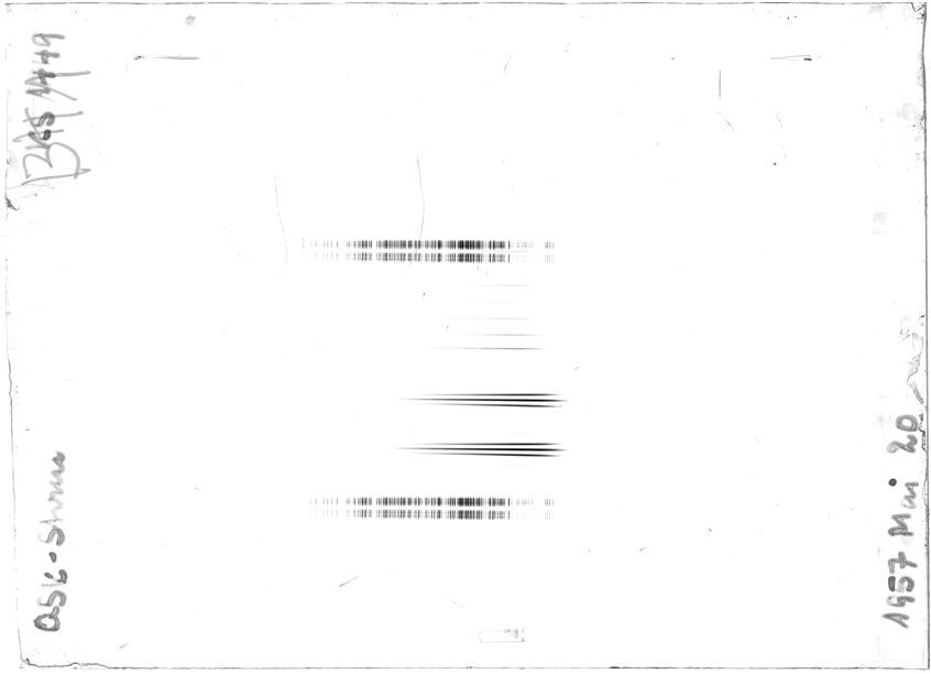 Scan STK1449