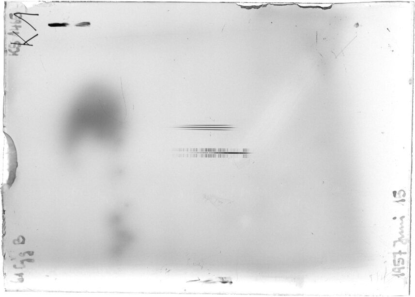 Scan STK1465
