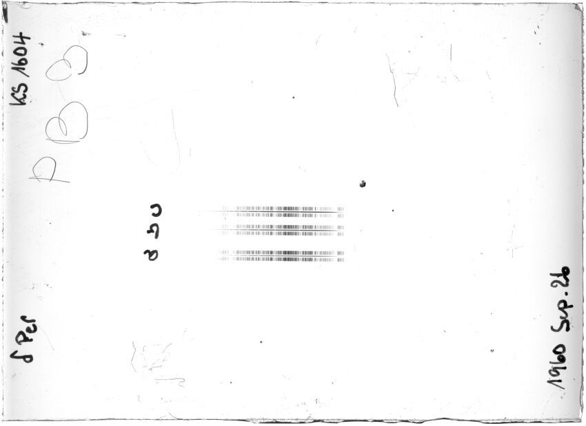 Scan STK1604