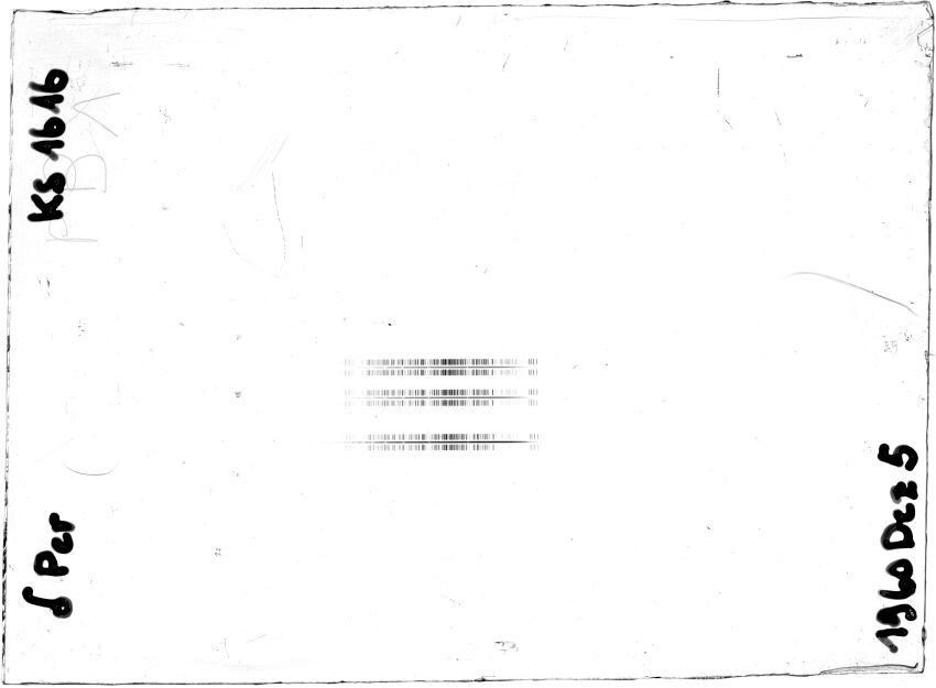 Scan STK1616
