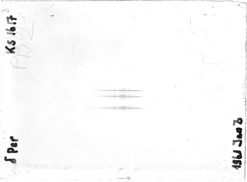 Scan STK1617