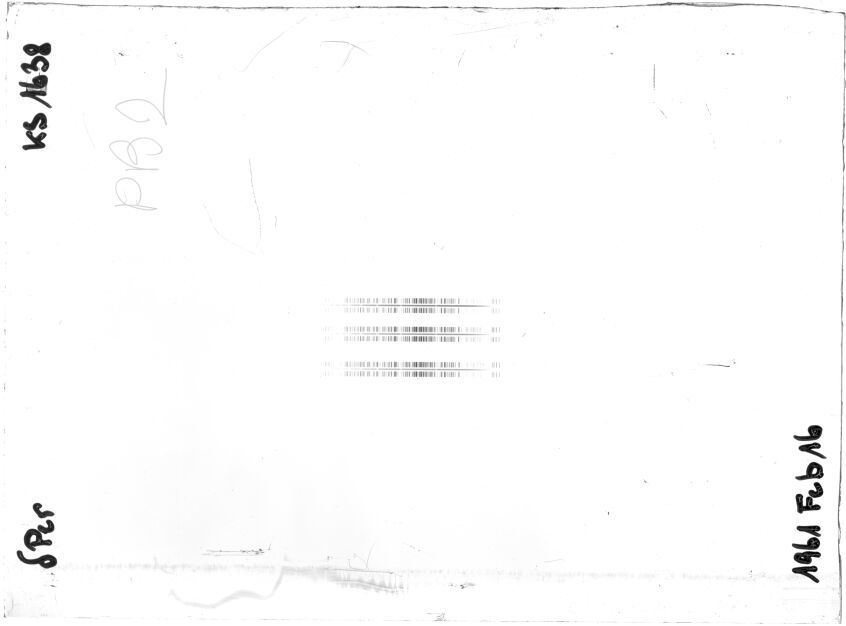 Scan STK1638