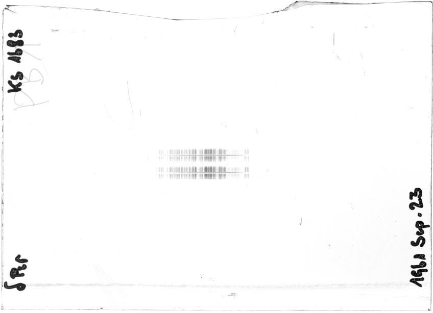 Scan STK1683