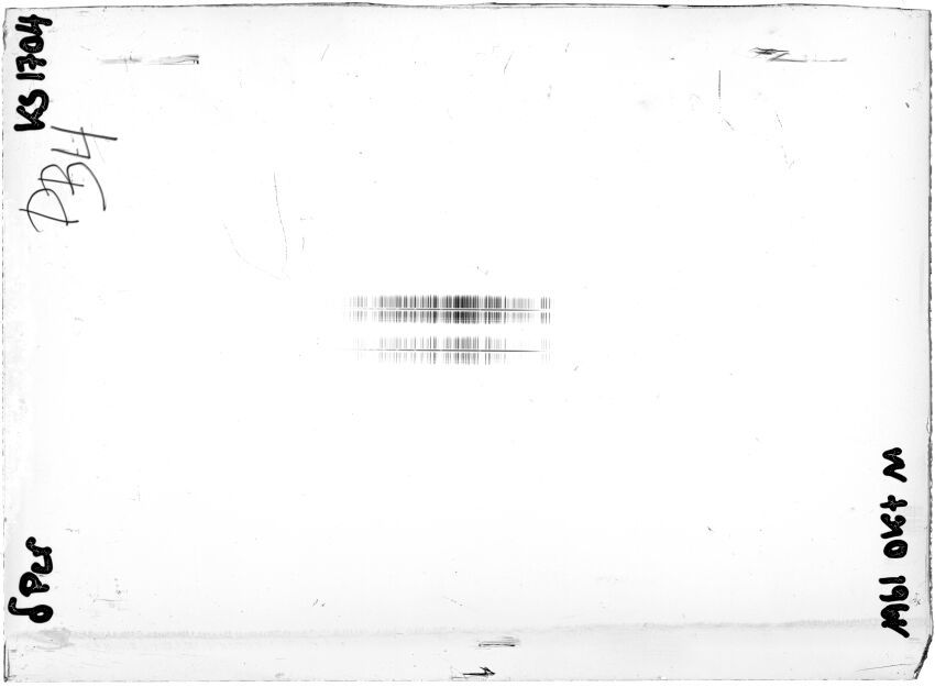 Scan STK1704