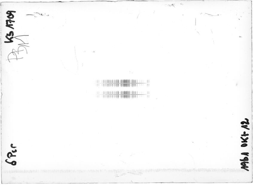 Scan STK1709