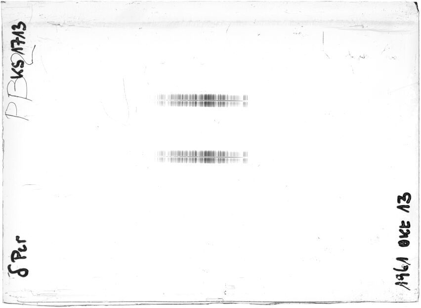 Scan STK1713