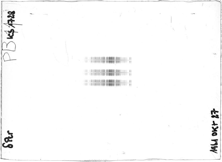 Scan STK1728