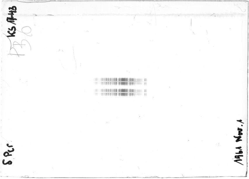 Scan STK1743