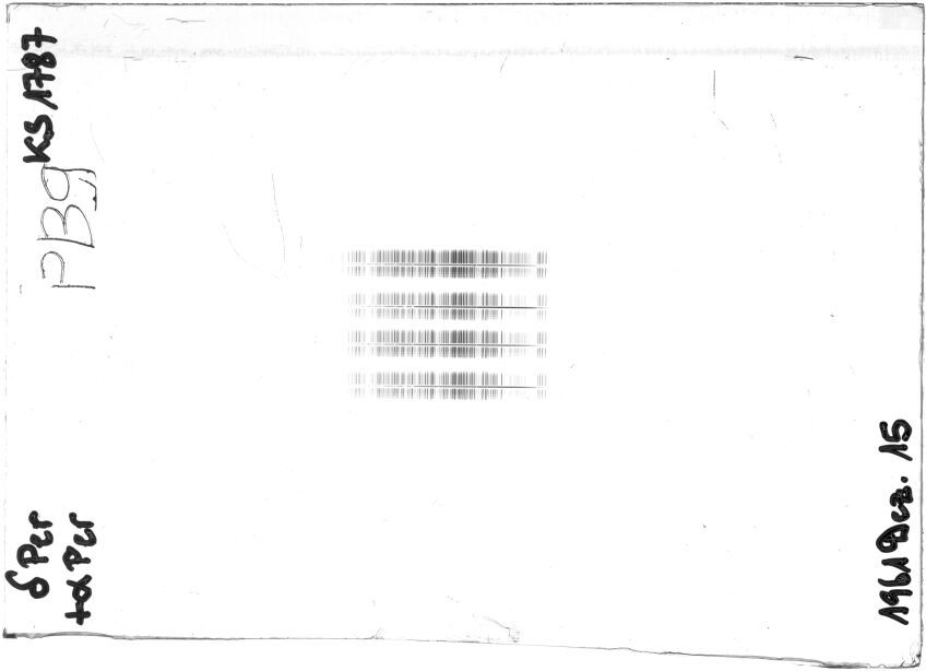 Scan STK1787