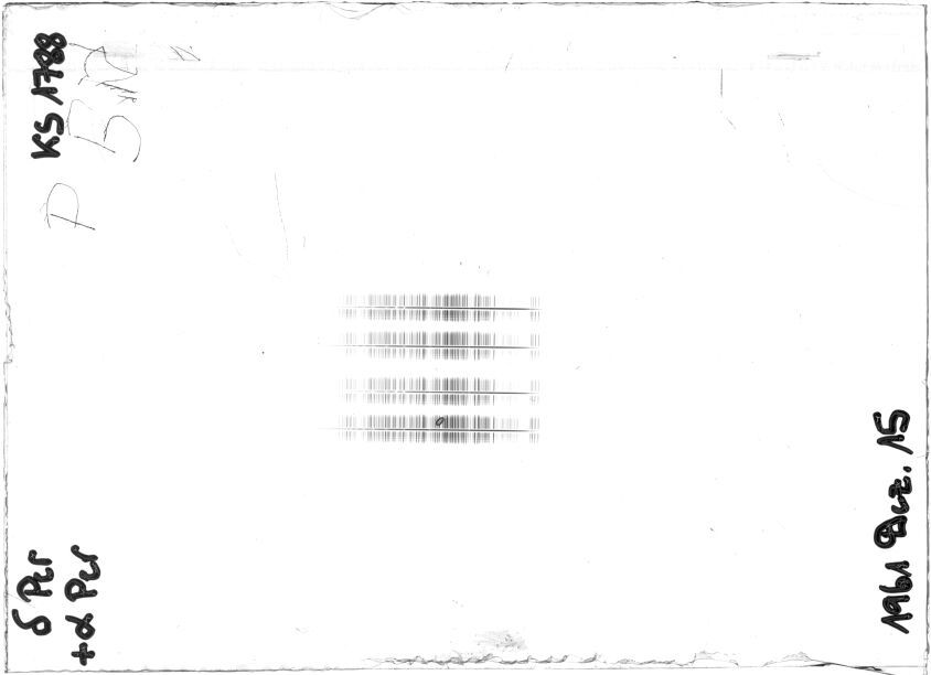 Scan STK1788