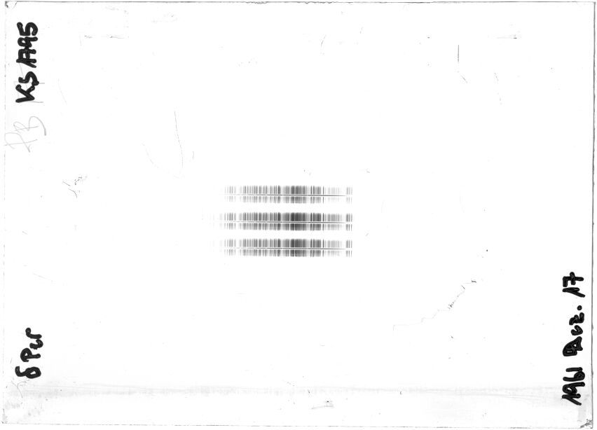 Scan STK1795