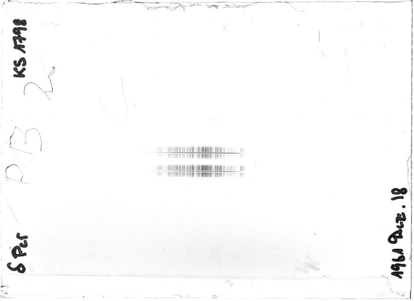 Scan STK1798