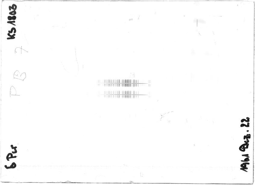 Scan STK1803
