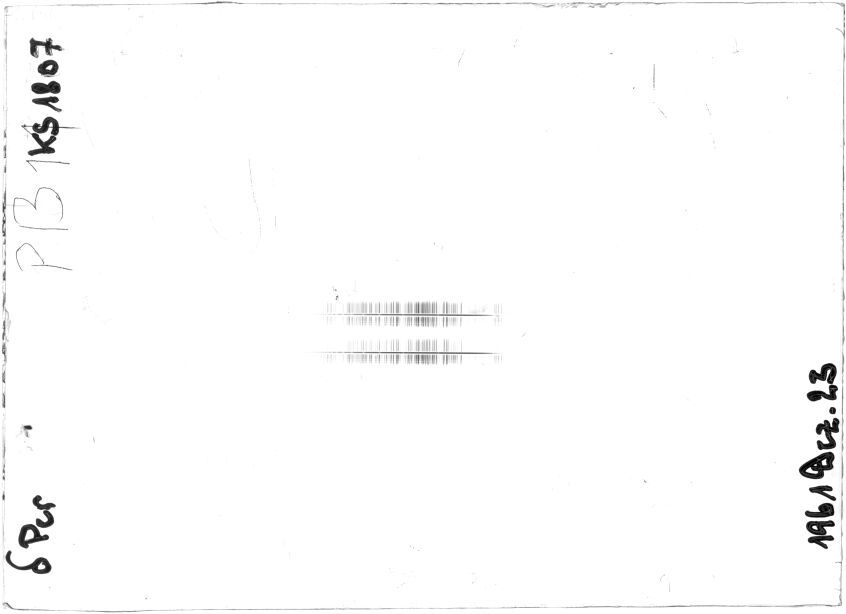 Scan STK1807