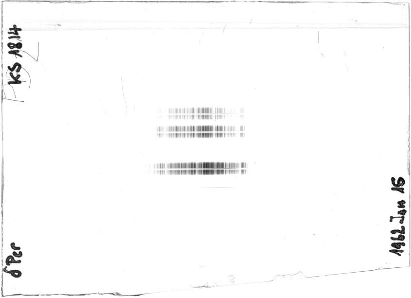 Scan STK1814