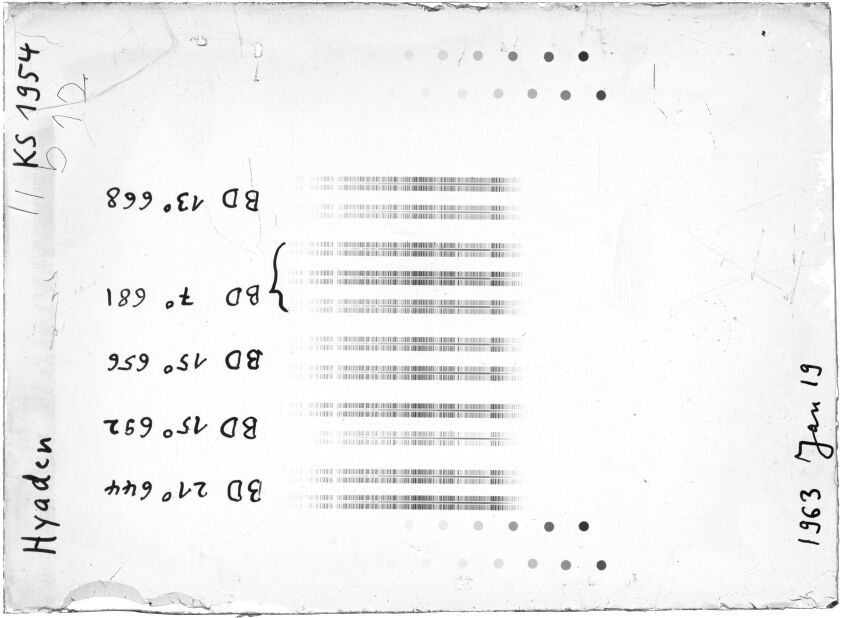 Scan STK1954