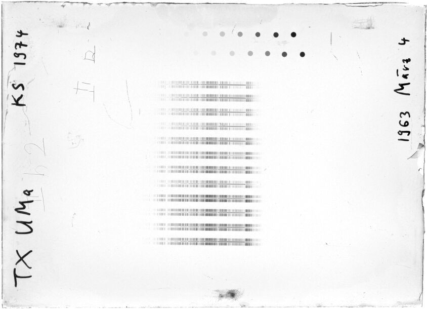 Scan STK1974