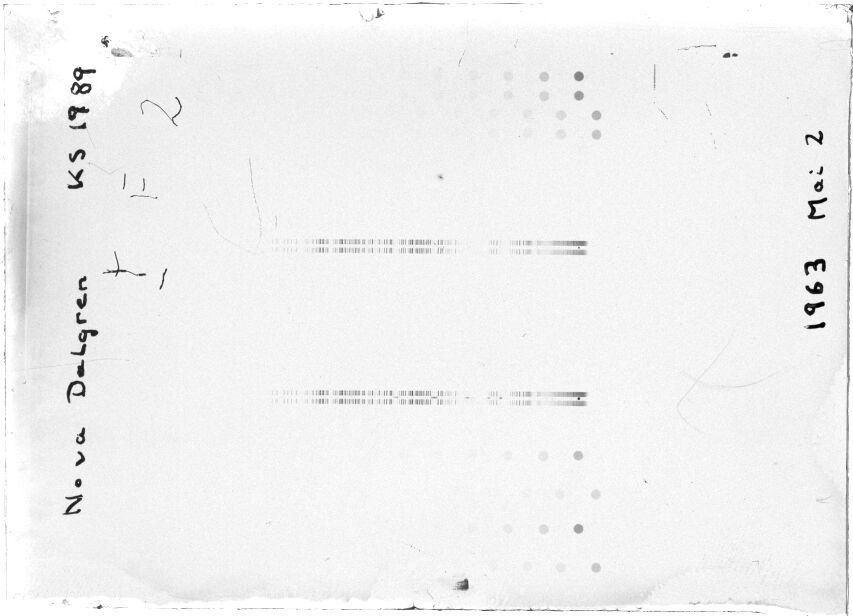 Scan STK1989