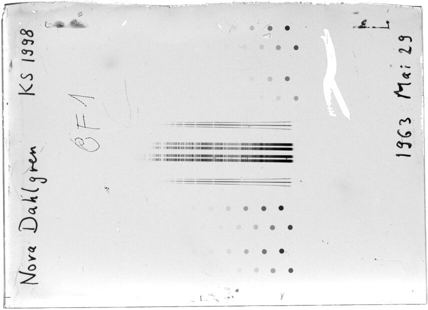 Scan STK1998