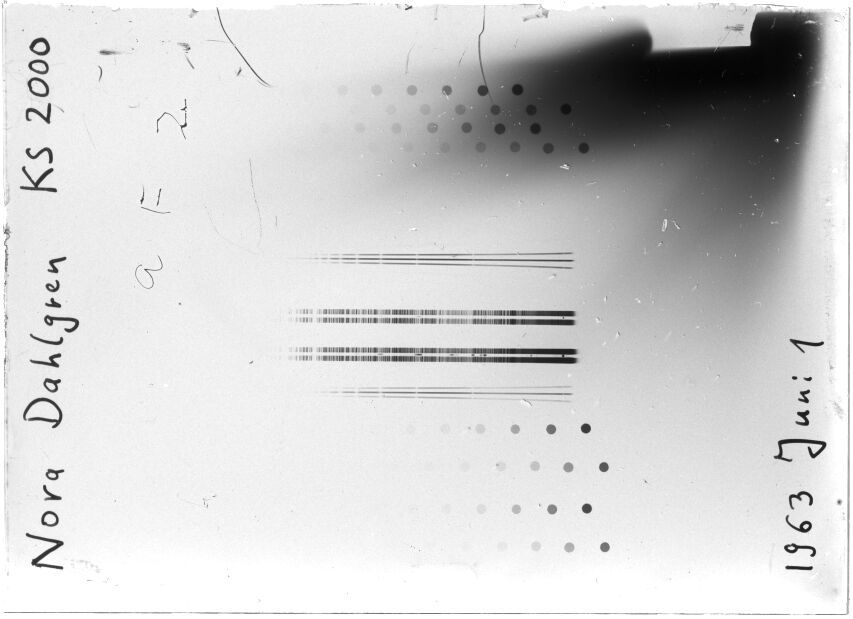 Scan STK2000