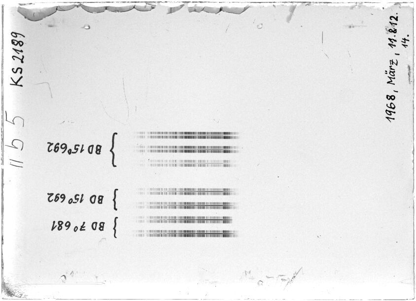 Scan STK2189