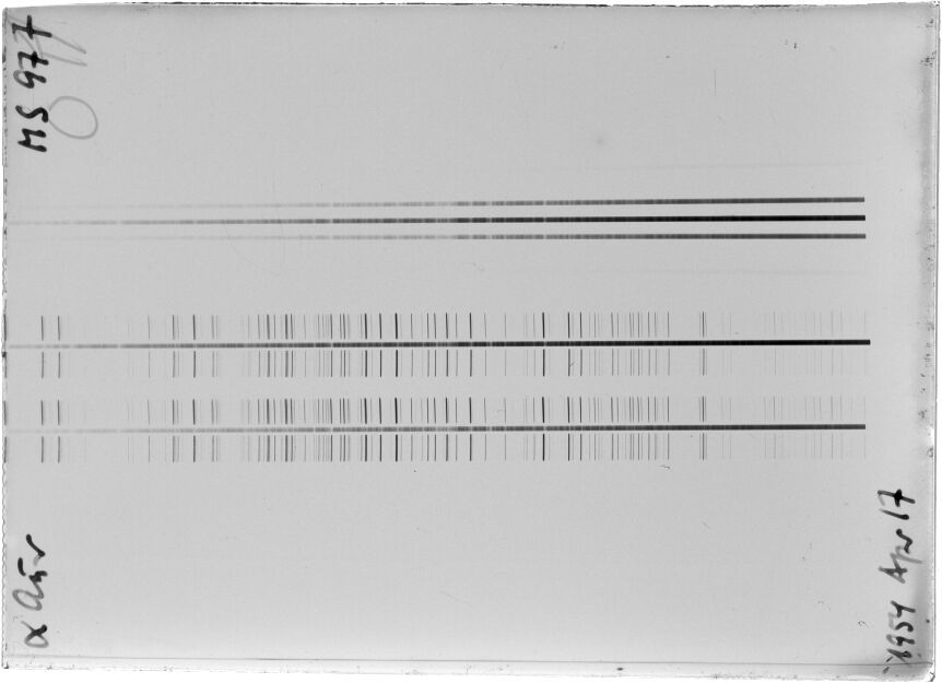 Scan STM0977