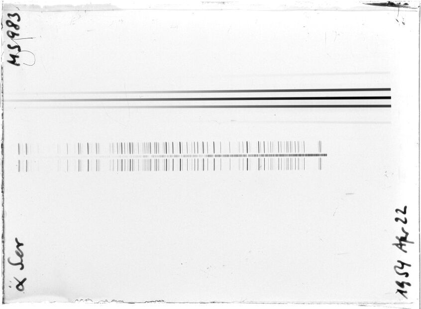 Scan STM0983